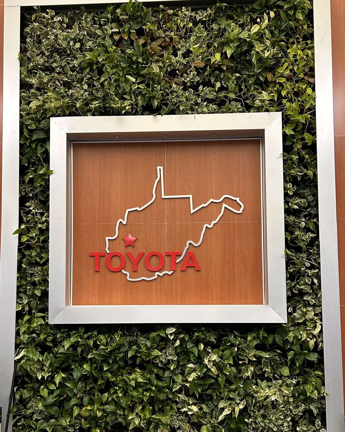 An interior living wall of trailing foliage framing a signed panel in a corporate lobby