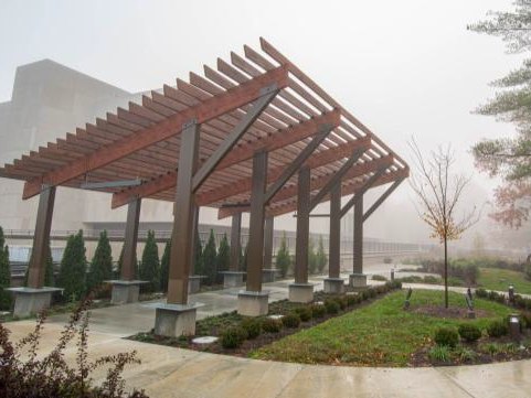 A timber pergola over a circular paved plaza with new plantings, in morning fog