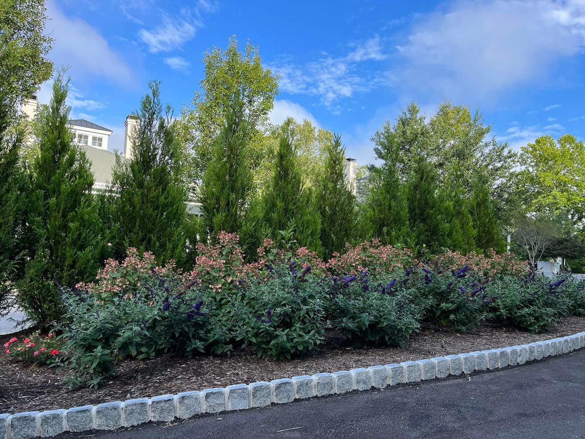Mulched shrub bed of hydrangea and butterfly bush edged with granite cobble curbing in White Sulphur Springs, WV